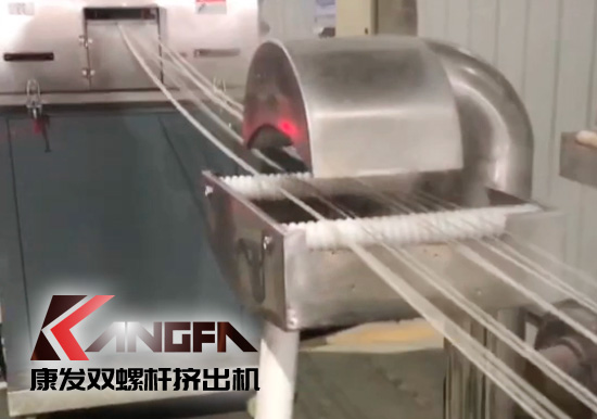 65高扭+PLC，尼龍加纖雙螺桿造粒機試機